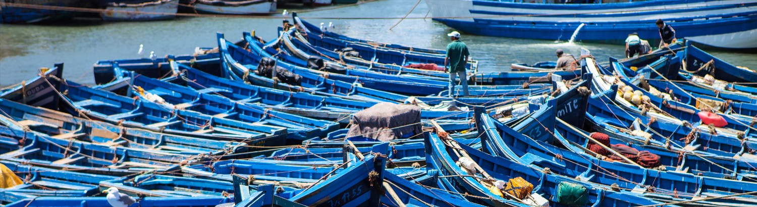 Fishing-boats.jpg